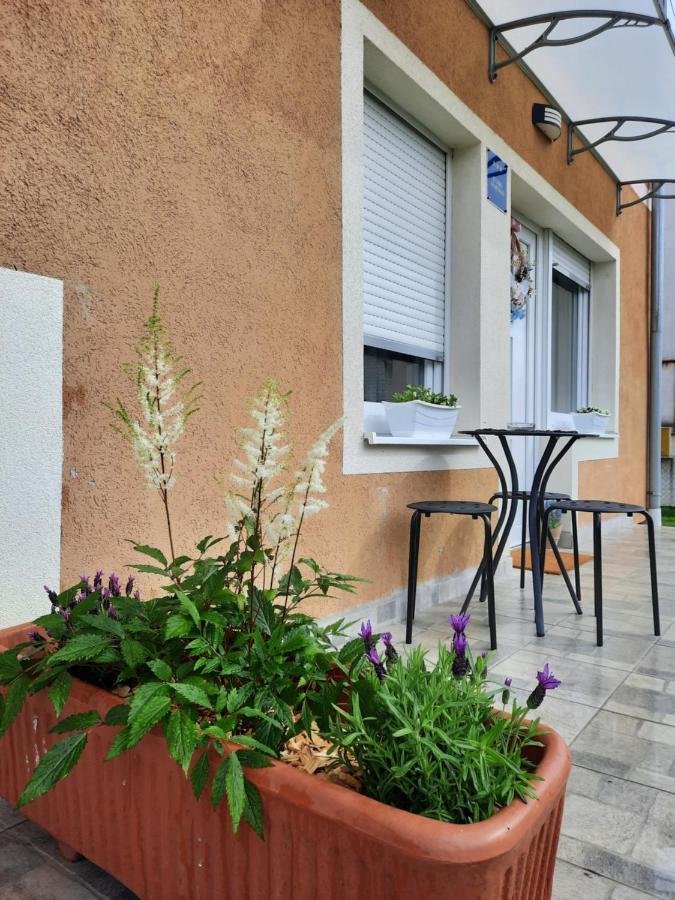 Apartmani Venium Krizevci Bagian luar foto