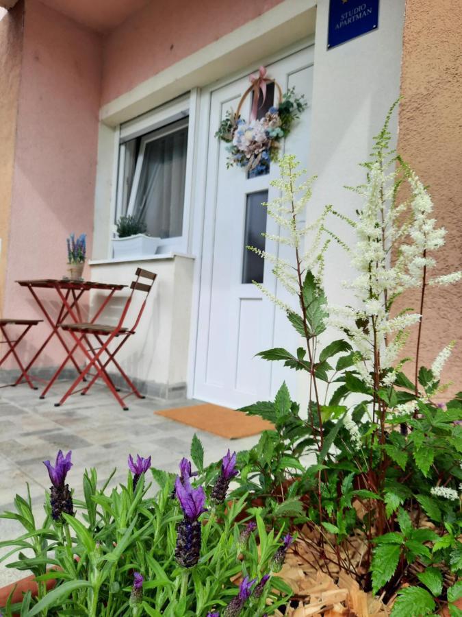 Apartmani Venium Krizevci Bagian luar foto