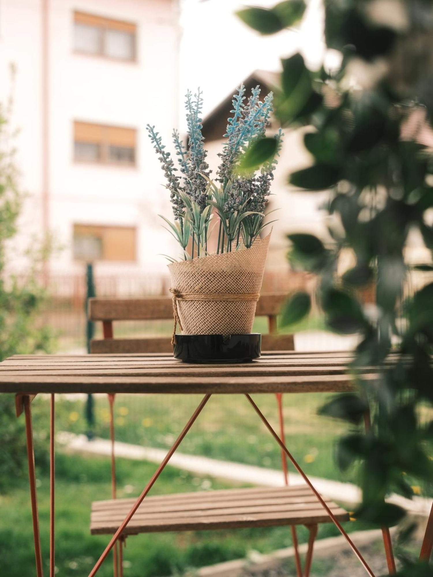 Apartmani Venium Krizevci Bagian luar foto